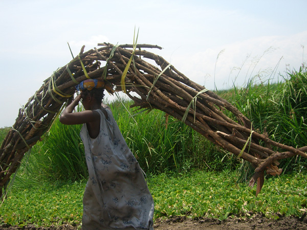 woman carrying poles in Burundi